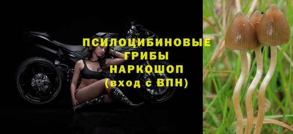 герыч Каменногорск