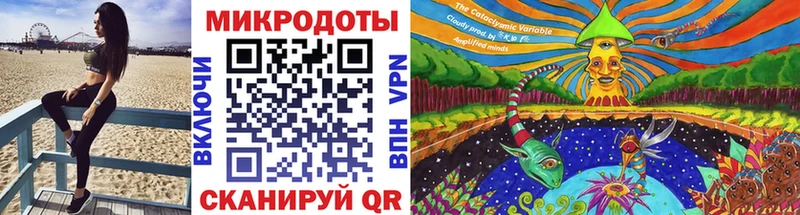 Купить  Нерехта  Галлюциногенные грибы MAGIC MUSHROOMS 